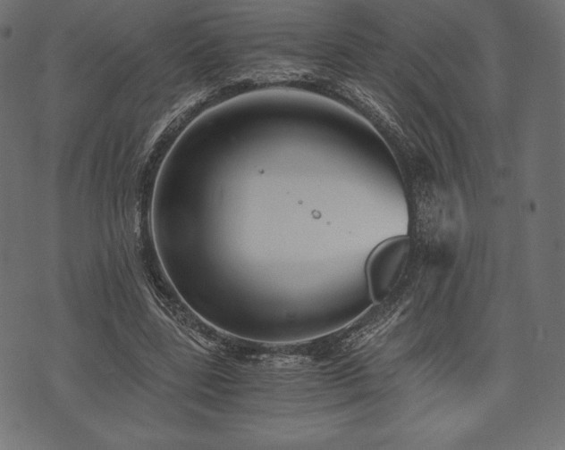 X0000073860539200608170945