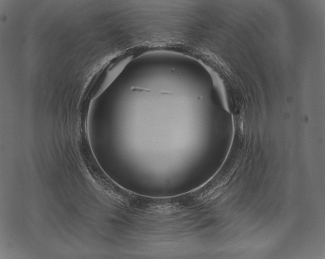 X0000073860540200608170945