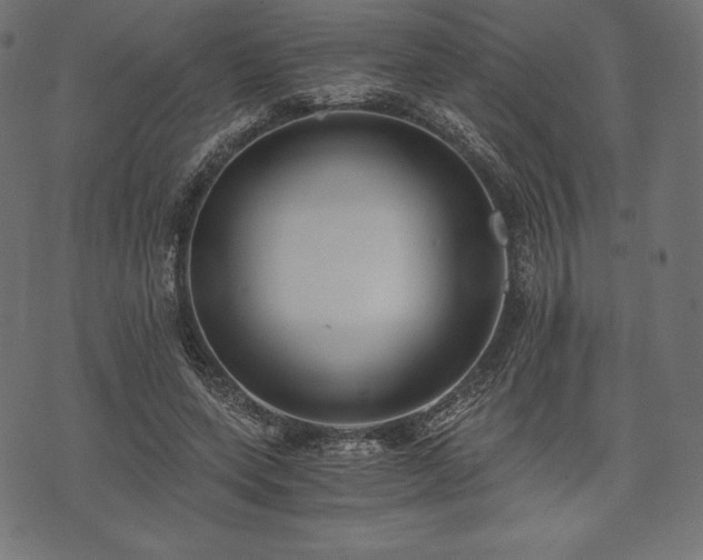 X0000073860543200608170945