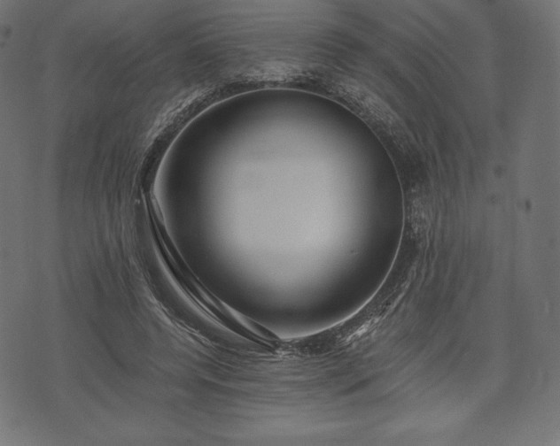 X0000073860544200608170945