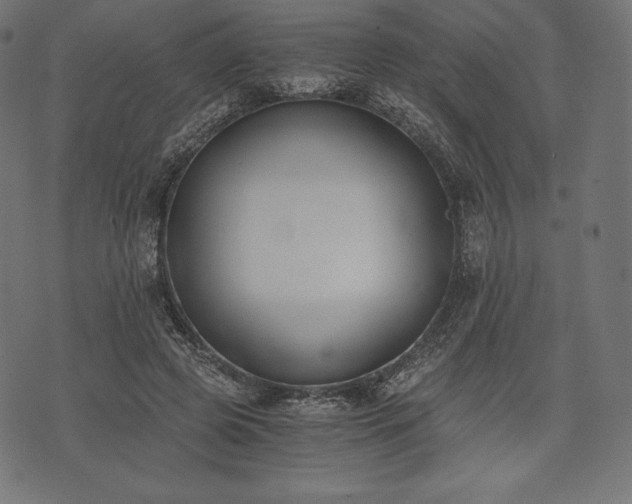 X0000073860545200608170945