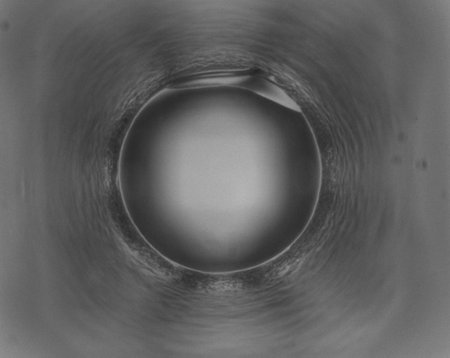 X0000073860546200608170945