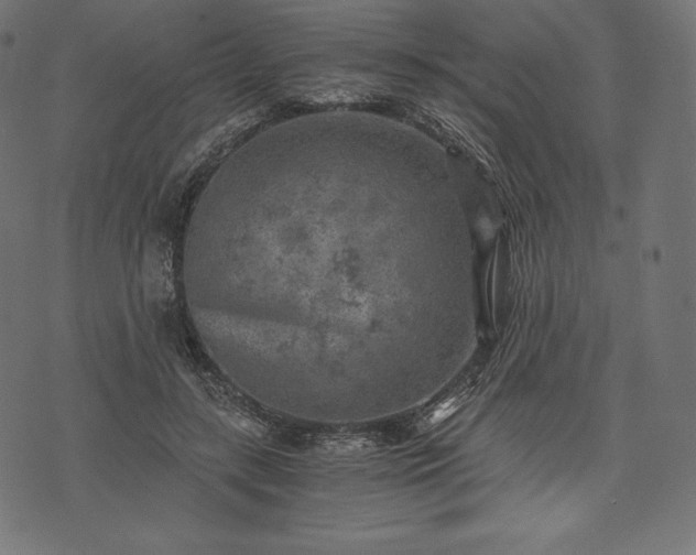 X0000073860547200608170945