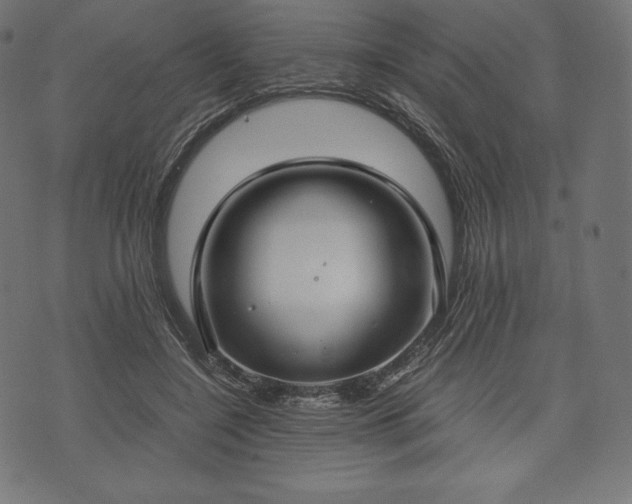 X0000073860548200608170945