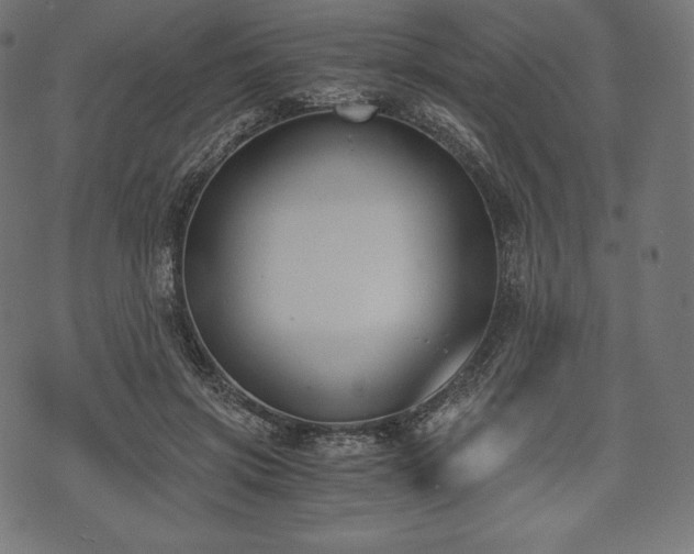 X0000073860549200608170945