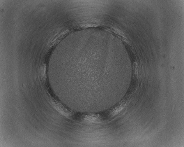 X0000073860550200608170945