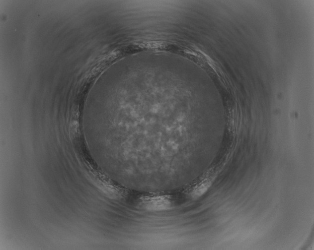 X0000073860553200608170945