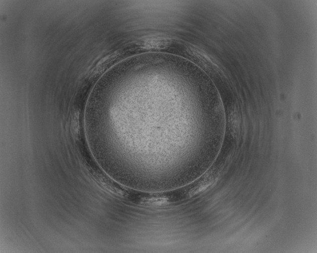 X0000073860554200608170945