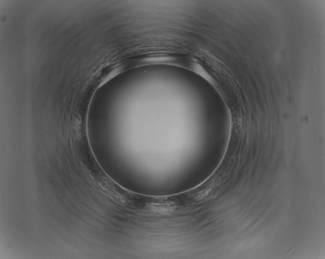 X0000073860556200608170945