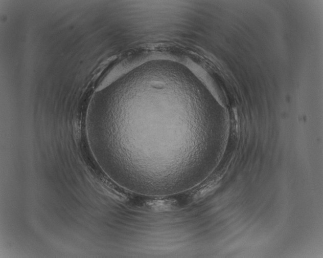 X0000073860558200608170945