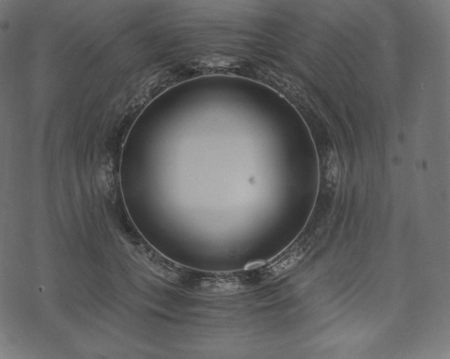 X0000073860559200608170945