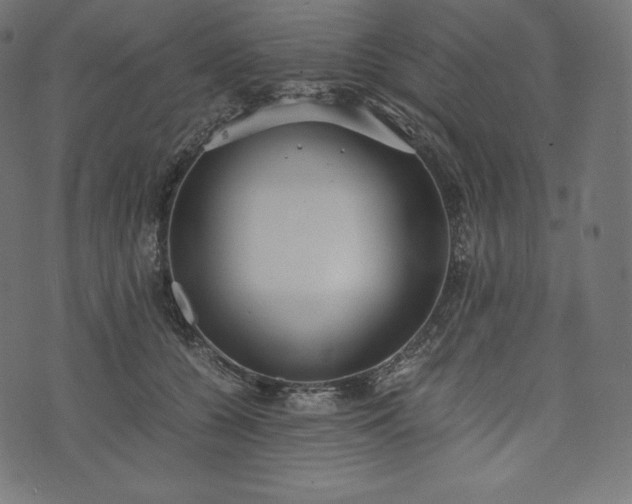 X0000073860560200608170945