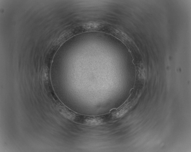 X0000073860561200608170945