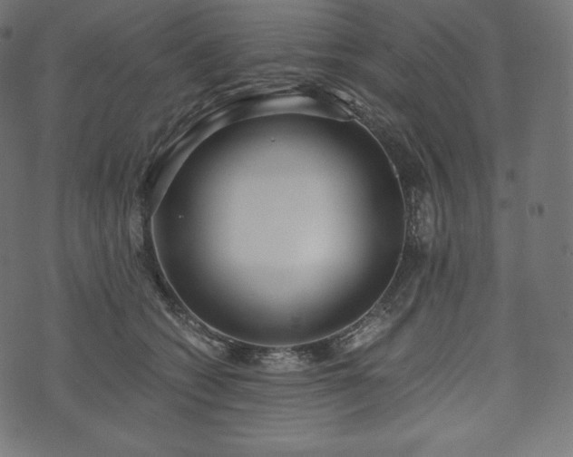 X0000073860562200608170945