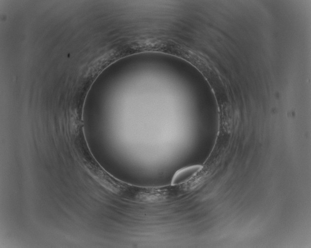 X0000073860563200608170945