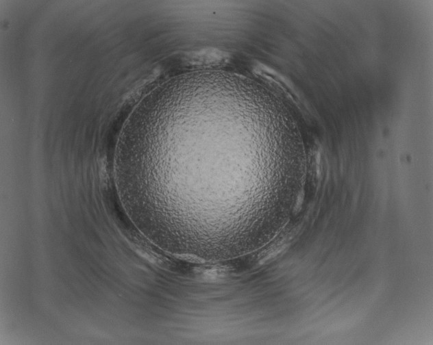 X0000073860564200608170945