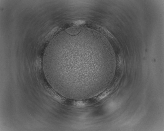 X0000073860565200608170945