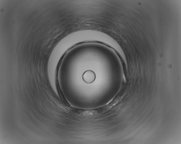 X0000073860566200608170945