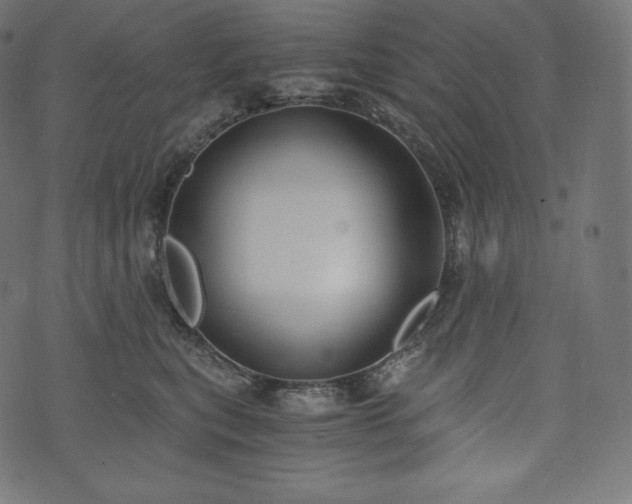 X0000073860567200608170945