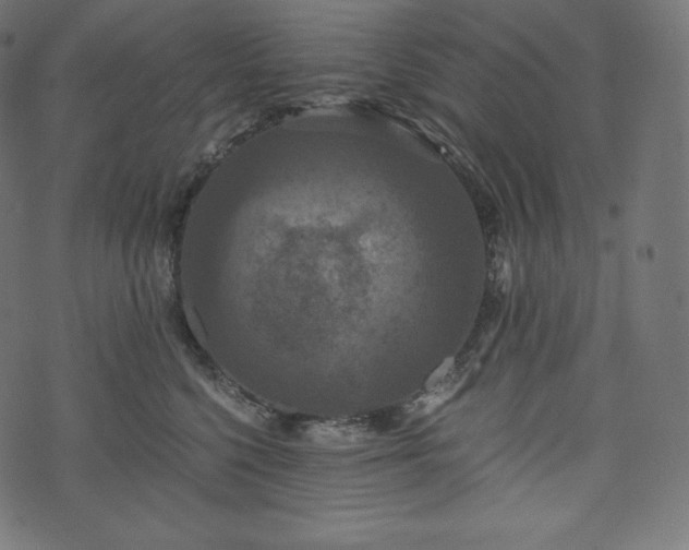 X0000073860568200608170945