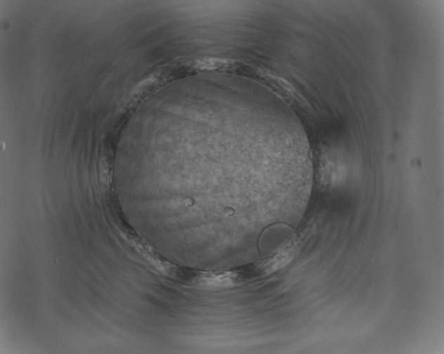 X0000073860569200608170945