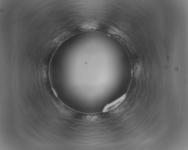 X0000073860570200608170945