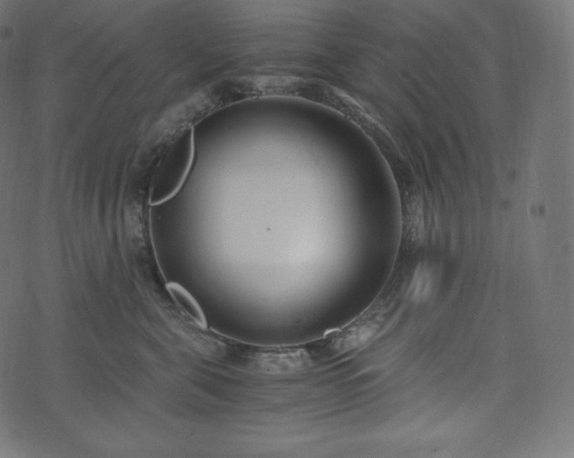 X0000073860571200608170945