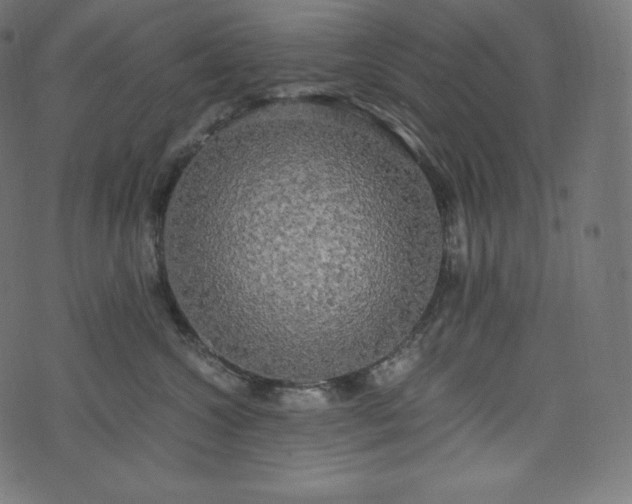 X0000073860572200608170945