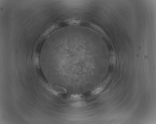 X0000073860573200608170945