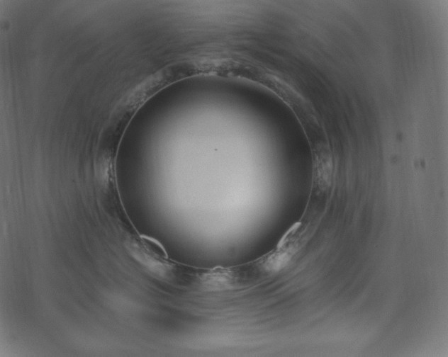 X0000073860574200608170945