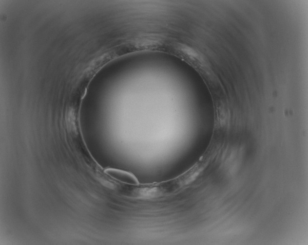 X0000073860575200608170945