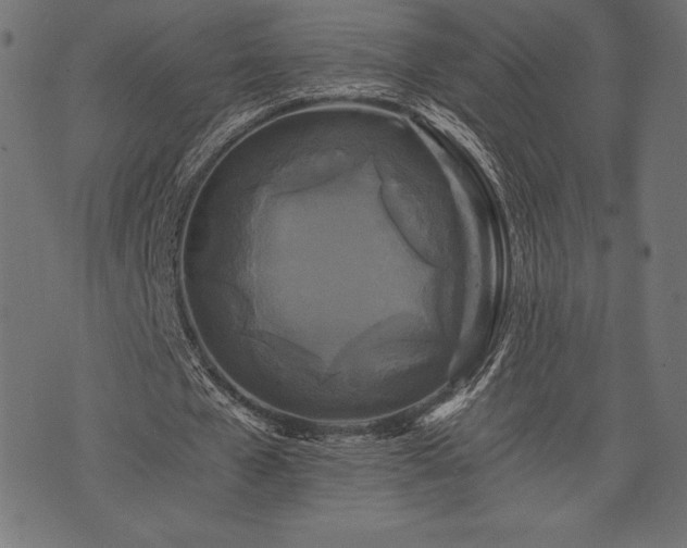 X0000073860577200608170944