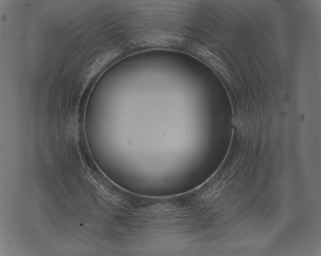 X0000073860578200608170944