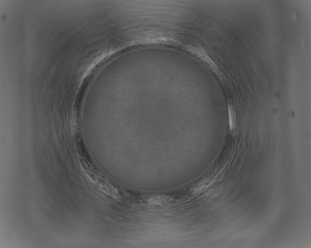 X0000073860579200608170944