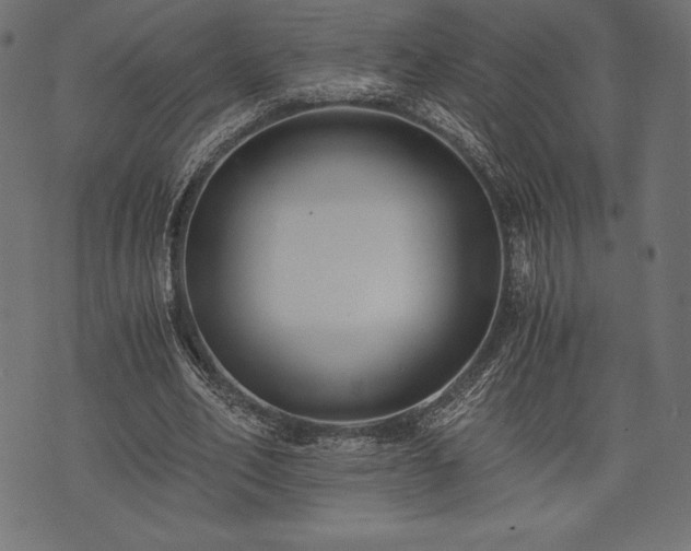 X0000073860582200608170944