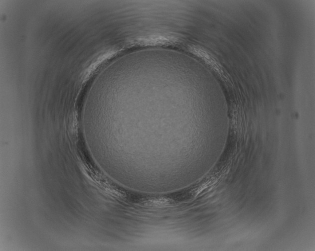 X0000073860583200608170944