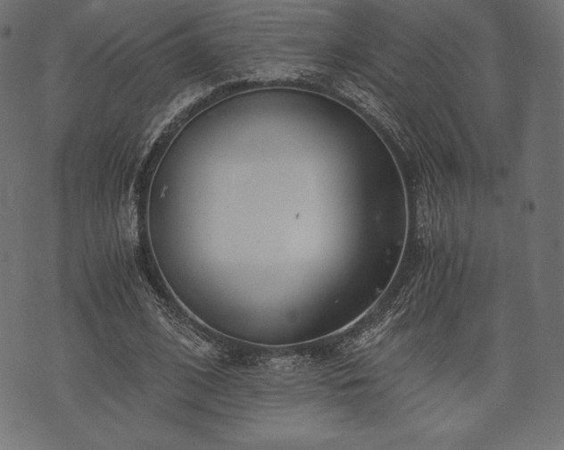 X0000073860584200608170944