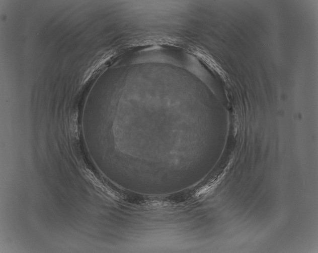 X0000073860585200608170944