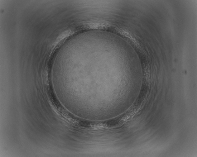 X0000073860587200608170944