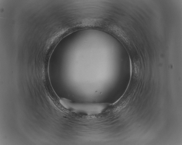 X0000073860588200608170944