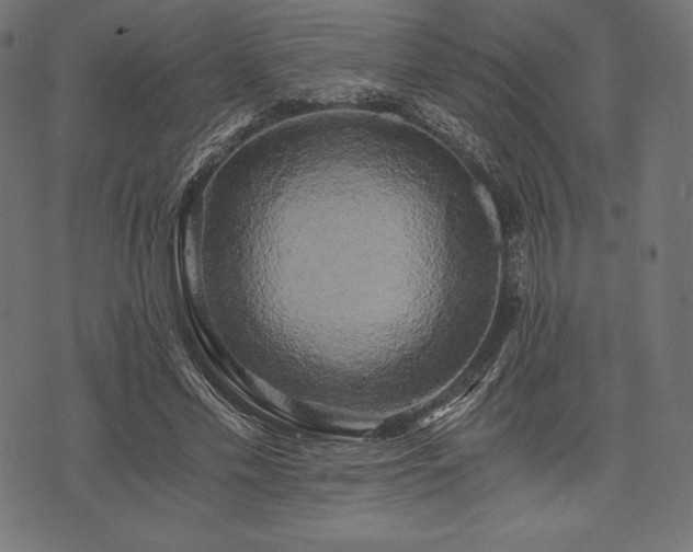 X0000073860589200608170944