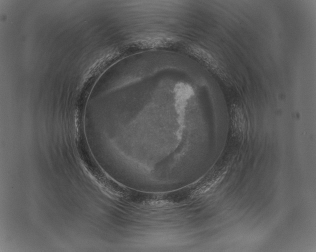 X0000073860590200608170944