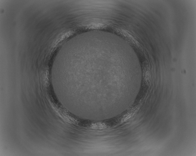 X0000073860591200608170944