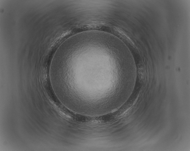 X0000073860593200608170944