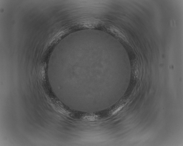 X0000073860595200608170944