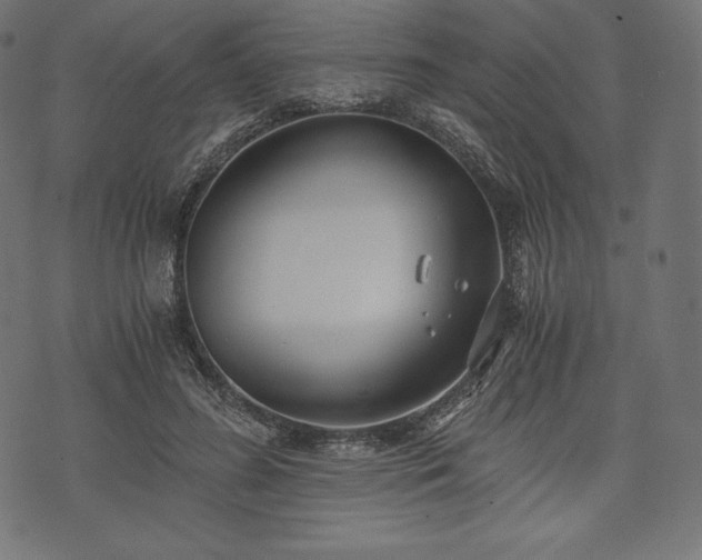 X0000073860596200608170944