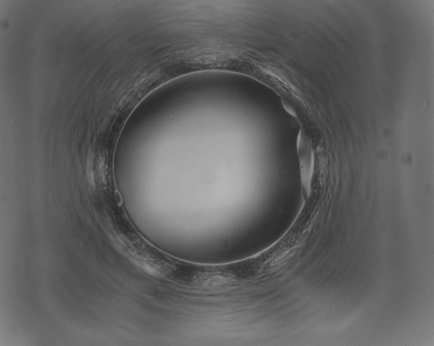 X0000073860597200608170944