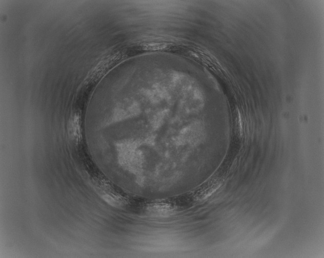 X0000073860598200608170944