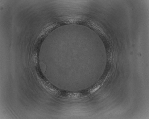 X0000073860599200608170944