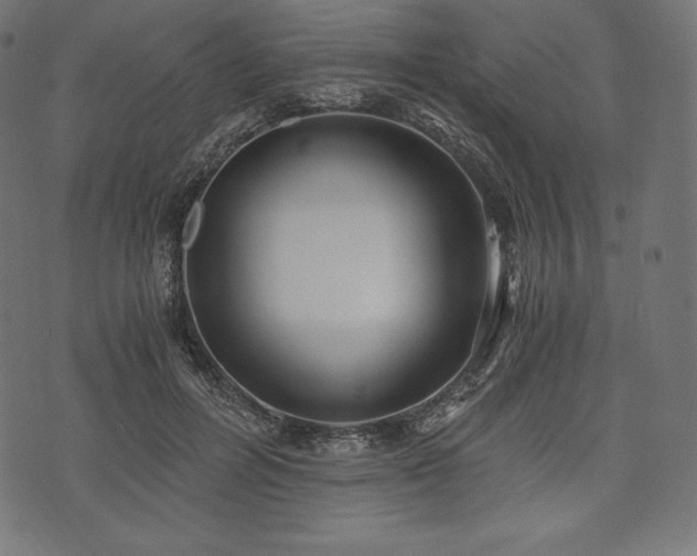 X0000073860600200608170944